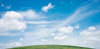 landscape of grass field under blue sky